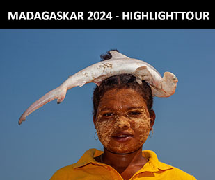 Madagaskar - Fotoreise zu den letzten ihrer Art
