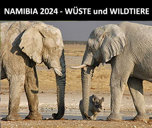 Namibia - Wüste - Kaokoland - Wildtiere