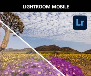 Arbeiten mit Adobe Lightroom Mobile