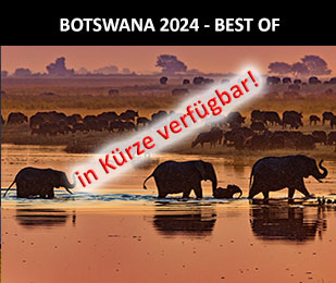 Botswana 2024 Best Of