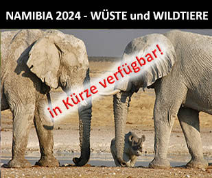 Namibia - Wüste - Kaokoland - Wildtiere